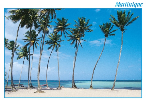 [63358] CP 10X15 MQ M167