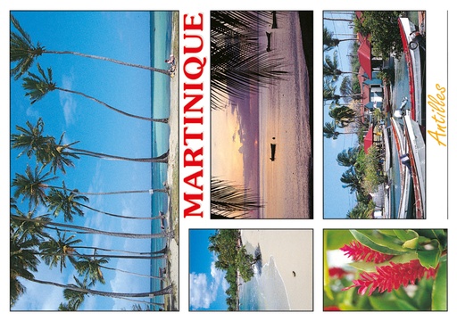 [63359] CP 10X15 MQ M171