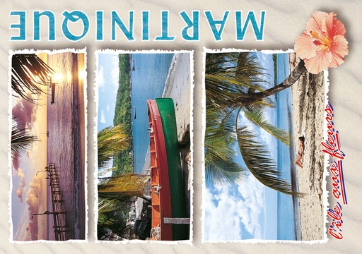 [63361] CP 10X15 MQ M176