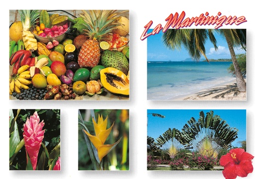 [63362] CP 10X15 MQ M177