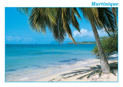 [63364] CP 10X15 MQ M179