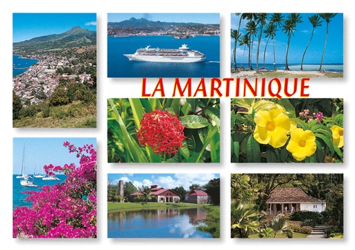 [63367] CP 10X15 MQ M182