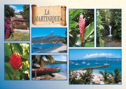 [63371] CP 10X15 MQ M186