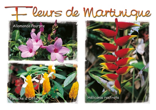 [63375] CP 10X15 MQ M199