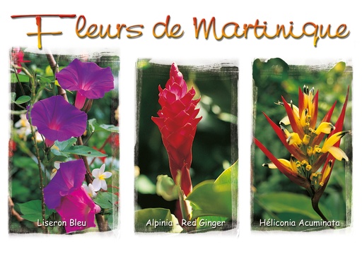 [63378] CP 10X15 MQ M203