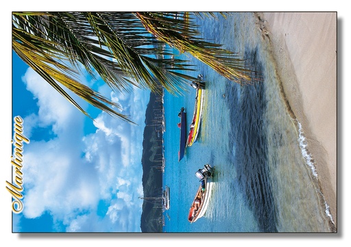 [63389] CP 10X15 MQ M220