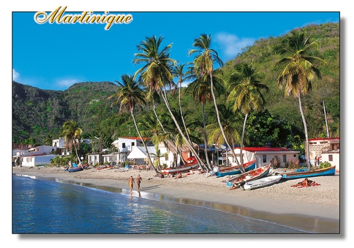 [63391] CP 10X15 MQ M223