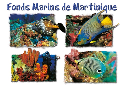 [63393] CP 10X15 MQ M226