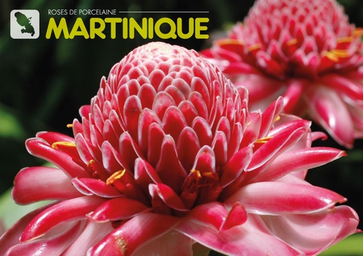 [63399] CP 10X15 MQ M234