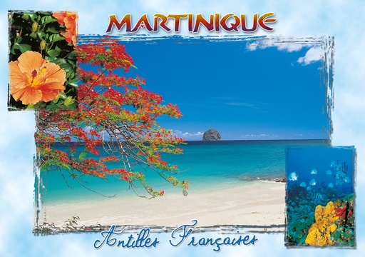 [63400] CP 10X15 MQ M235