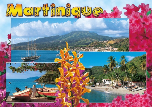 [63404] CP 10X15 MQ M241