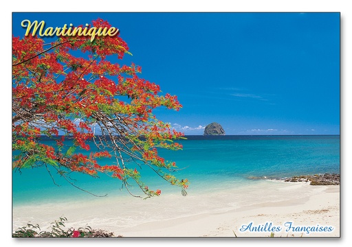 [63405] CP 10X15 MQ M242