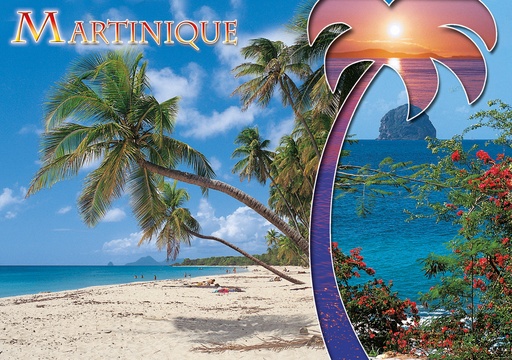 [63406] CP 10X15 MQ M244