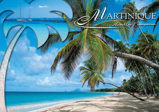 [63408] CP 10X15 MQ M246