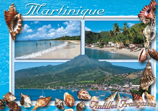 [63409] CP 10X15 MQ M247