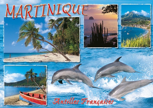 [63411] CP 10X15 MQ M249