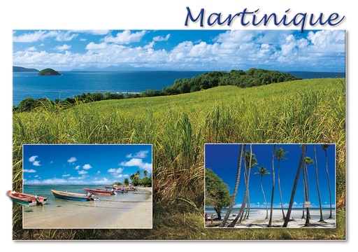 [63414] CP 10X15 MQ M254