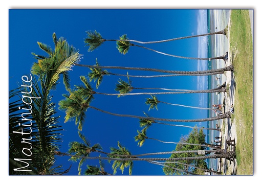 [63415] CP 10X15 MQ M255