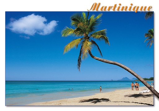 [63416] CP 10X15 MQ M256