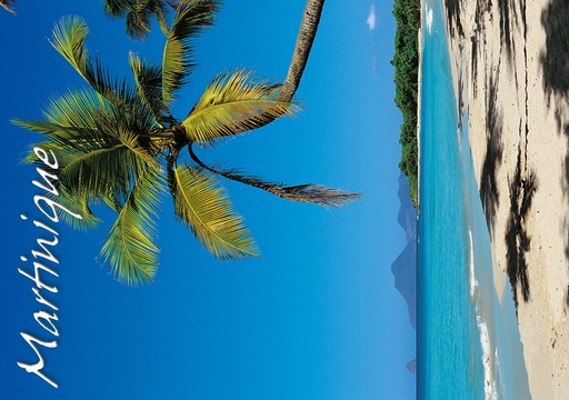 [63417] CP 10X15 MQ M257