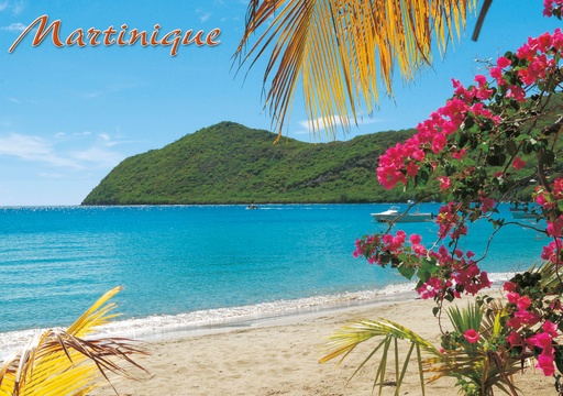 [63418] CP 10X15 MQ M260