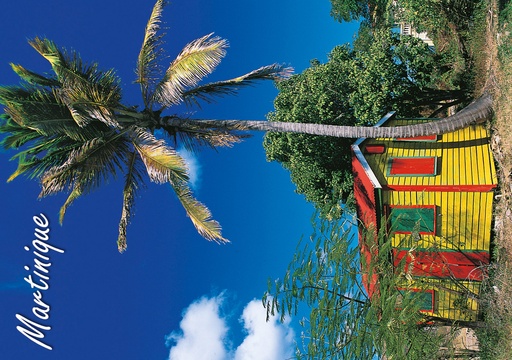 [63421] CP 10X15 MQ M263