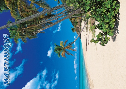 [63422] CP 10X15 MQ M264