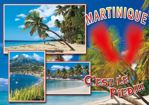 [63430] CP 10X15 MQ M272