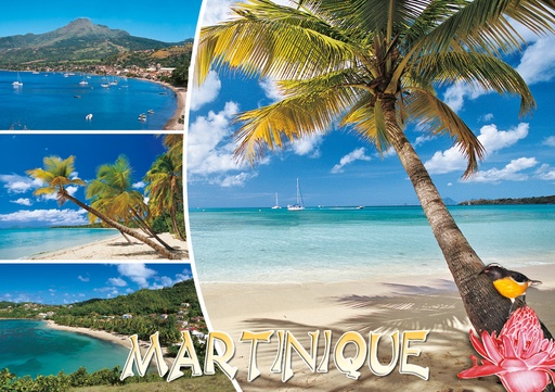 [63432] CP 10X15 MQ M275