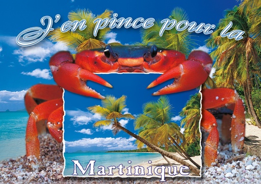 [63436] CP 10X15 MQ M279