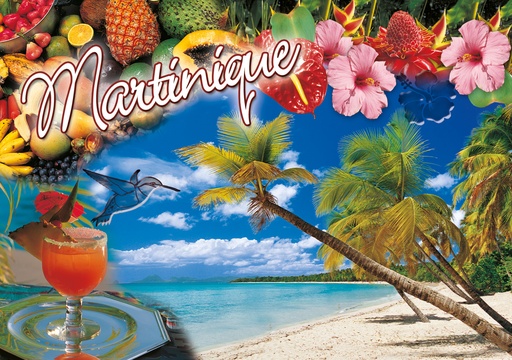 [63437] CP 10X15 MQ M280