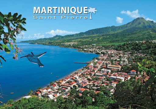 [63439] CP 10X15 MQ M282