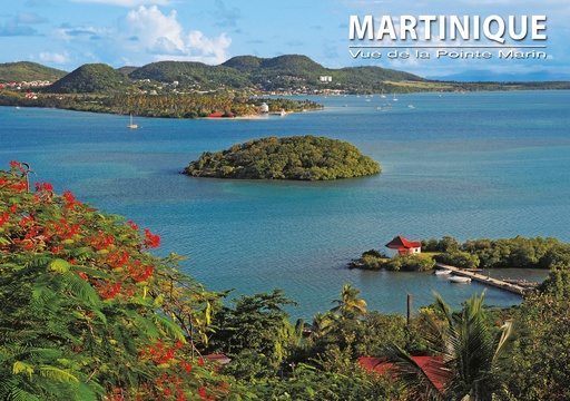 [63441] CP 10X15 MQ M284