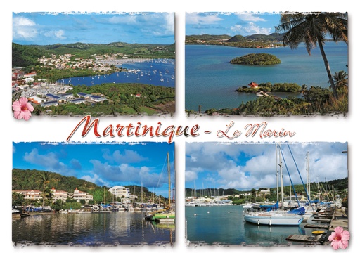 [63443] CP 10X15 MQ M286