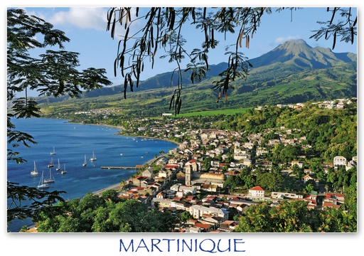 [63446] CP 10X15 MQ M291