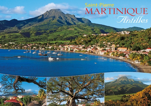 [63447] CP 10X15 MQ M292