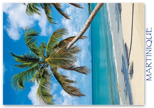 [63450] CP 10X15 MQ M295