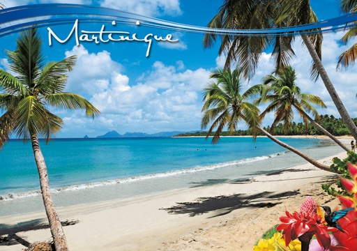 [63451] CP 10X15 MQ M296