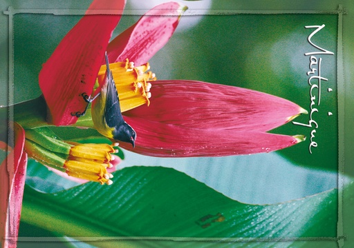 [63454] CP 10X15 MQ M300