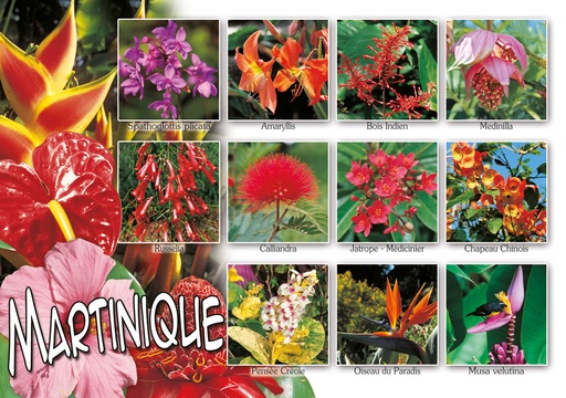 [63456] CP 10X15 MQ M302