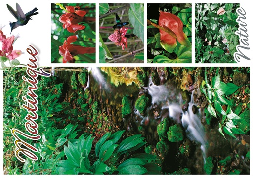 [63466] CP 10X15 MQ M315