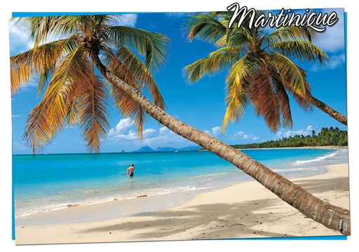 [63470] CP 10X15 MQ M319