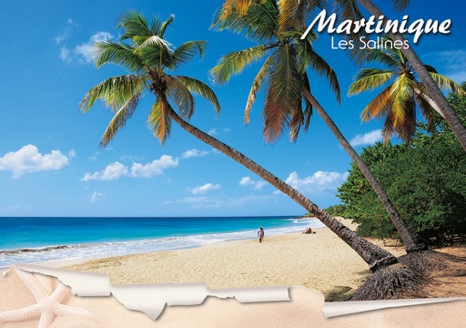 [63473] CP 10X15 MQ M323