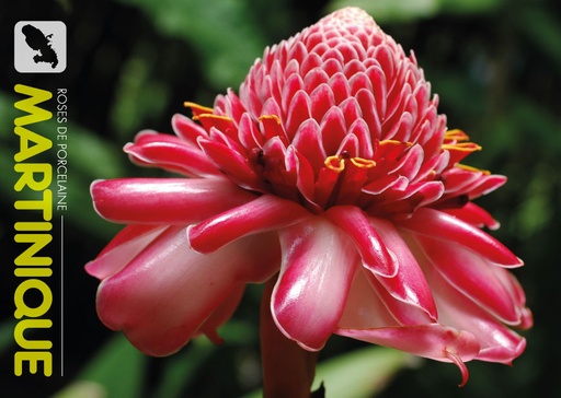 [63474] CP 10X15 MQ M324