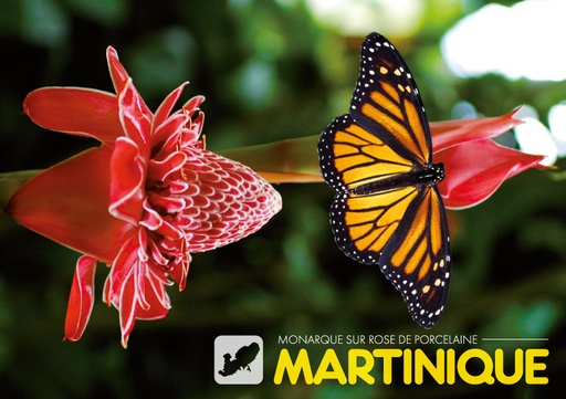 [63475] CP 10X15 MQ M325