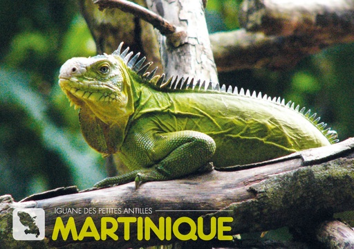 [63480] CP 10X15 MQ M330