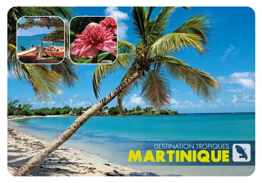 [63485] CP 10X15 MQ M335