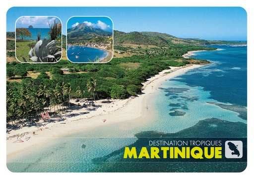 [63486] CP 10X15 MQ M336