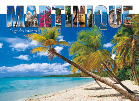 [63491] CP 10X15 MQ M342