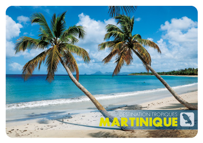 [63492] CP 10X15 MQ M343